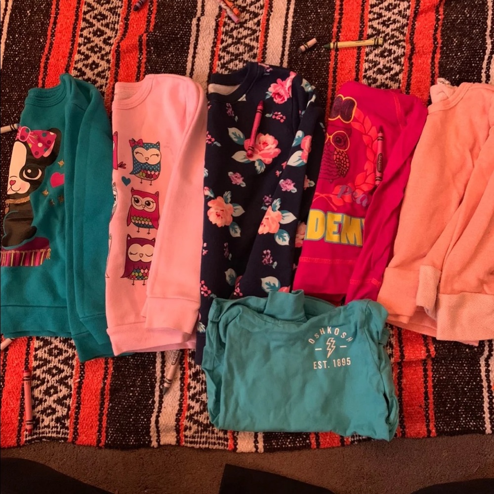 Big hoodie lot